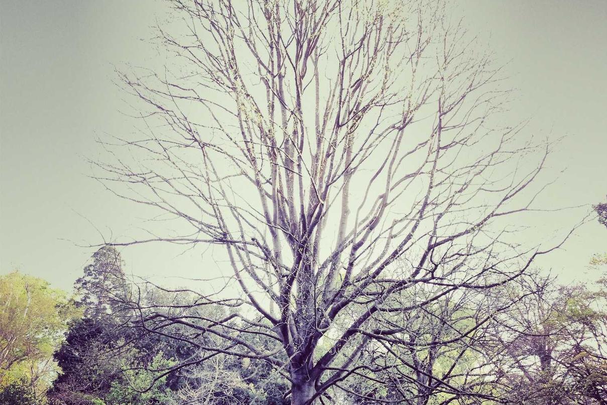 Veritatis commodi exercitationem