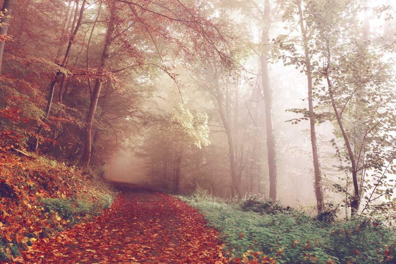 Featured image for “Dicta earum ut quas saepe dicta”